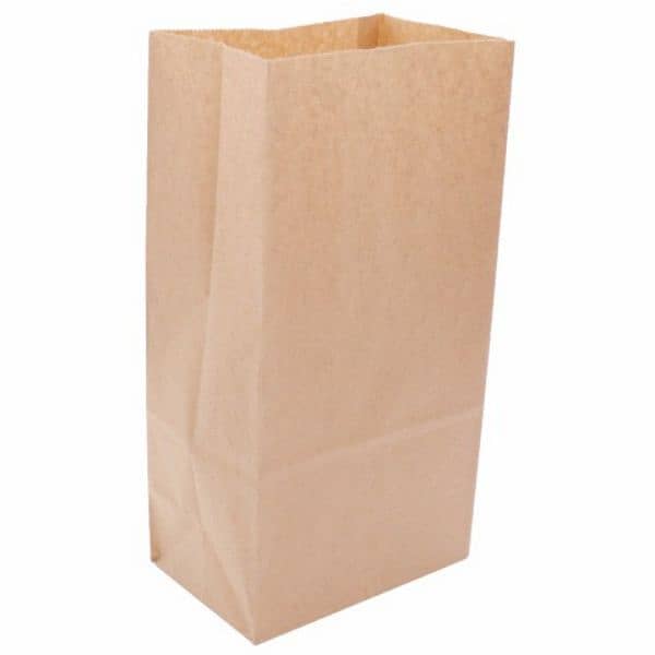 3 ply Paper Bags 3