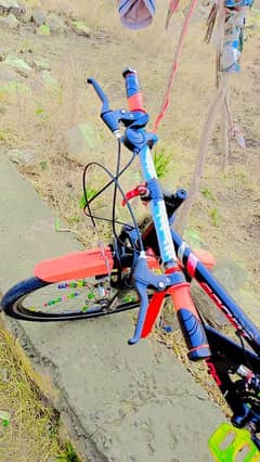 Bicycle For Sale