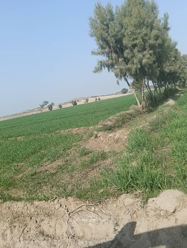 640 kanal agriculture land sale from MULTAN city 90 km nahri Pani 0