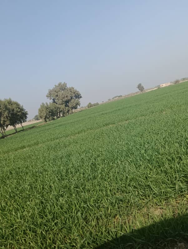 640 kanal agriculture land sale from MULTAN city 90 km nahri Pani 1