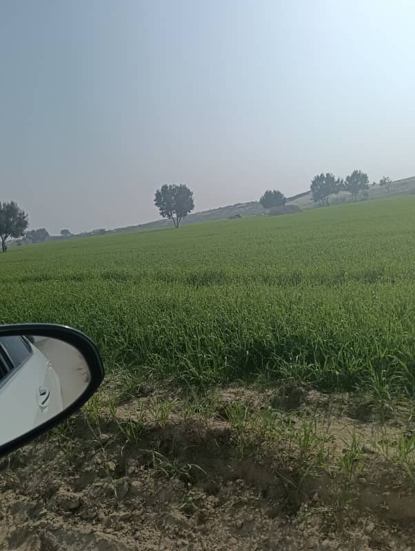 640 kanal agriculture land sale from MULTAN city 90 km nahri Pani 3