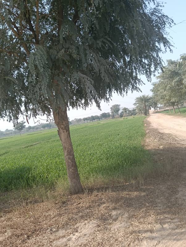 416 Kanal Agricultural Land Main carpet road front 1000 feet canal water available 0