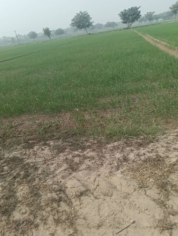 416 Kanal Agricultural Land Main carpet road front 1000 feet canal water available 2