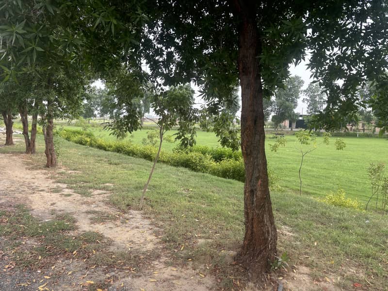 DHA RAHBAR 8 MARLA PLOT WITH LOW PRICE IS UP FOR SALE 3