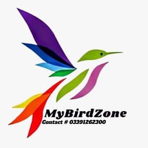 MyBirdZone