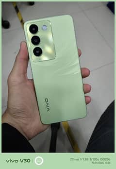 vivo