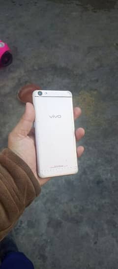 vivo y66 PTA approved