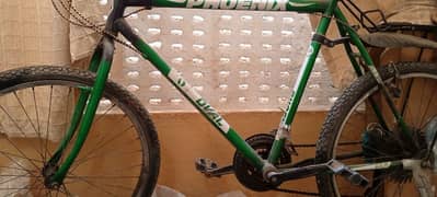 Phoenix Bike Cycle For Sell Urgent