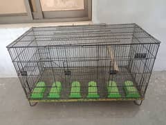 Parrot cage