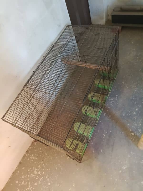 Parrot cage 1