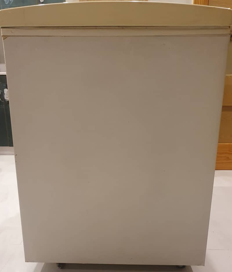 Waves WCC-2100 Single Door Deep Freezer for Sale 2