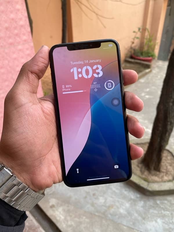 iP XS MAX 64GB *WATERPACK* 6