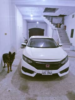 Honda Civic oriel 1.8