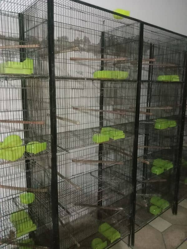 Albino Red Eyes, Cages, Breeding Boxes, Pots 2