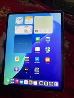 ipad pro m1chip 12.9"inch 256gb cellular