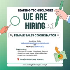 Sales Cordinator