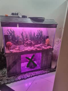 FISH AQUARIUM (ALMOST NEW)