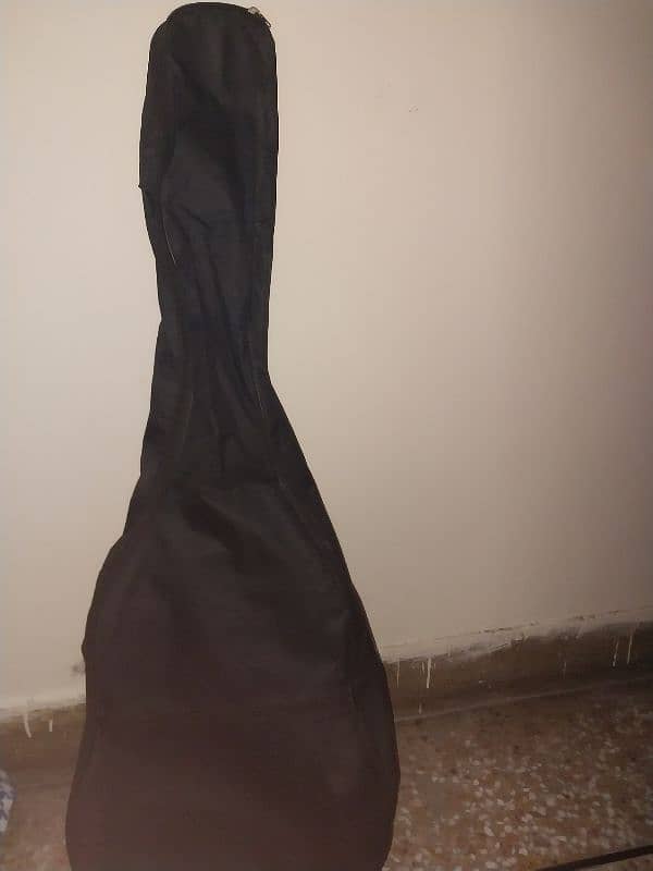 guitar with bag and pick 4