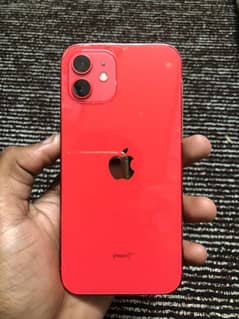 Iphone 12 ( red )