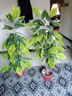 artificial plant