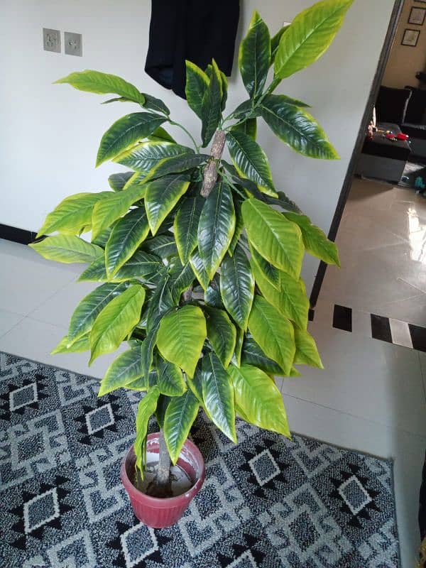 artificial plant 5