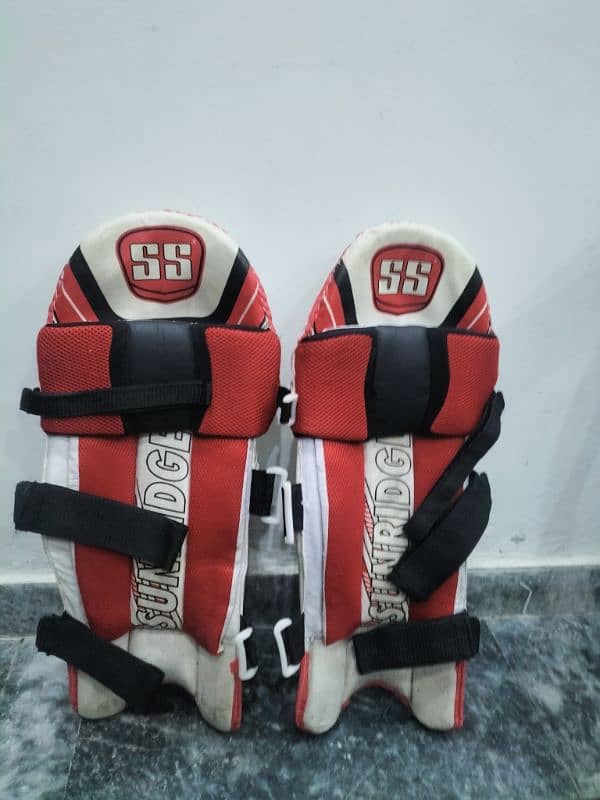 hard ball saman pad and helmet 1