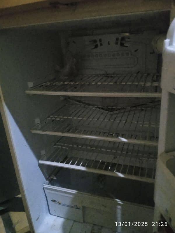 Fridge 6