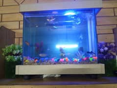 Selling my two fish Aquariums