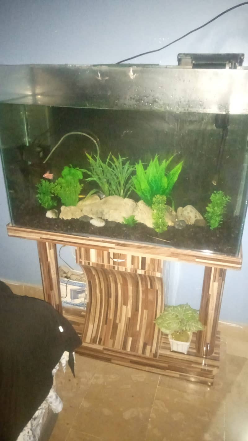 fish aqurium for sale 2