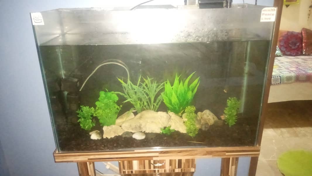 fish aqurium for sale 3