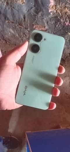 vivo