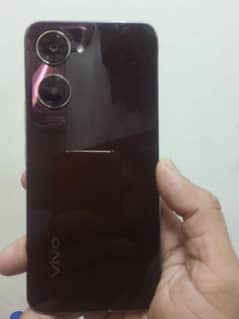 vivo