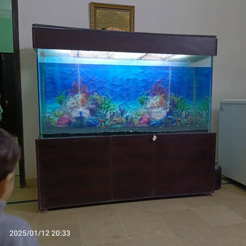 5 feet aquarium for sale in reasonable price 0