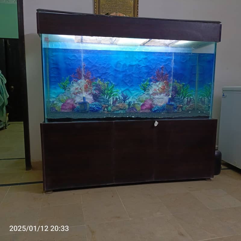 5 feet aquarium for sale in reasonable price 1