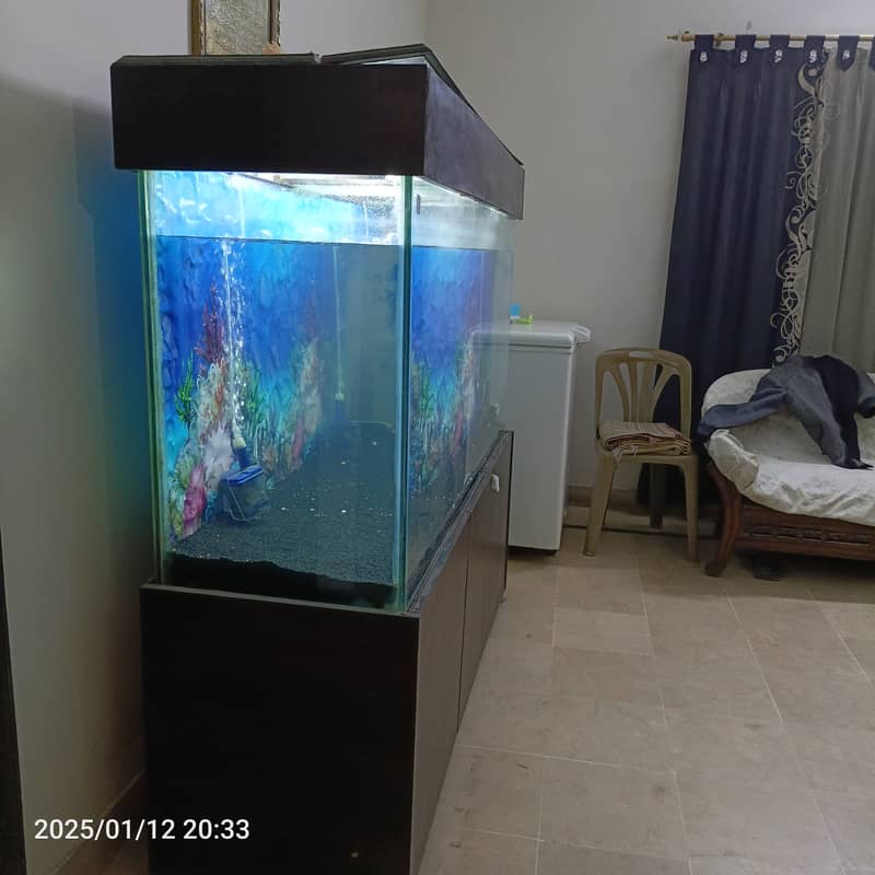 5 feet aquarium for sale in reasonable price 2