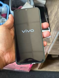 vivo