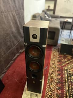 DALI lektor 6 floorstanding speakers ( bose klipsch kef marantz )