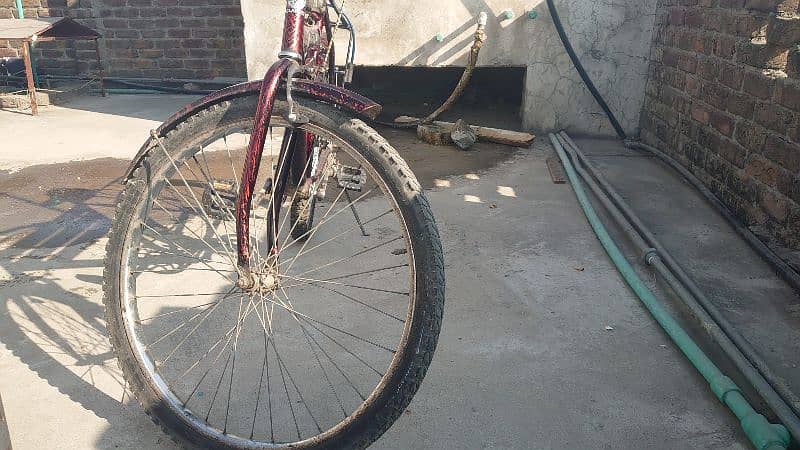 cycle for sale 1