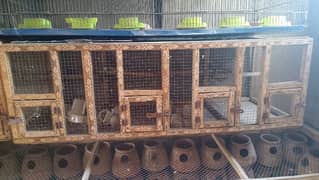 4 portion wooden cages