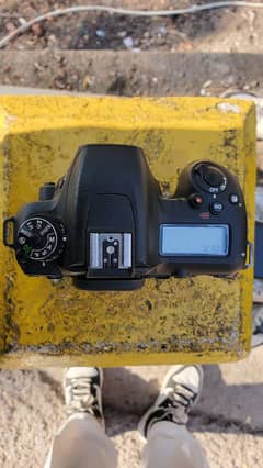 Nikon D7500 clean Body