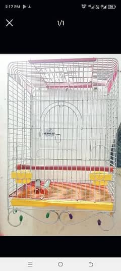 parrot birds cage 03213880771