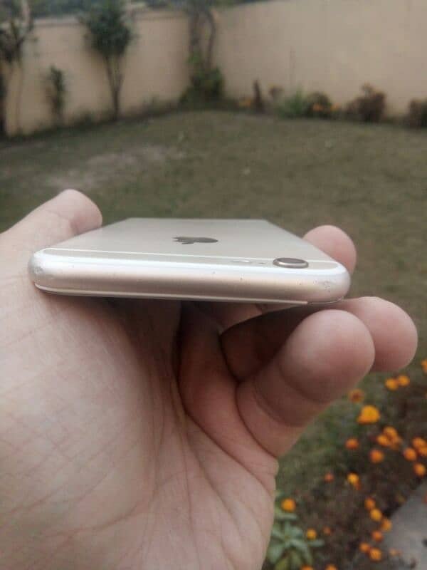 Iphone 6 Gold Colour 64gb Mamrey 2