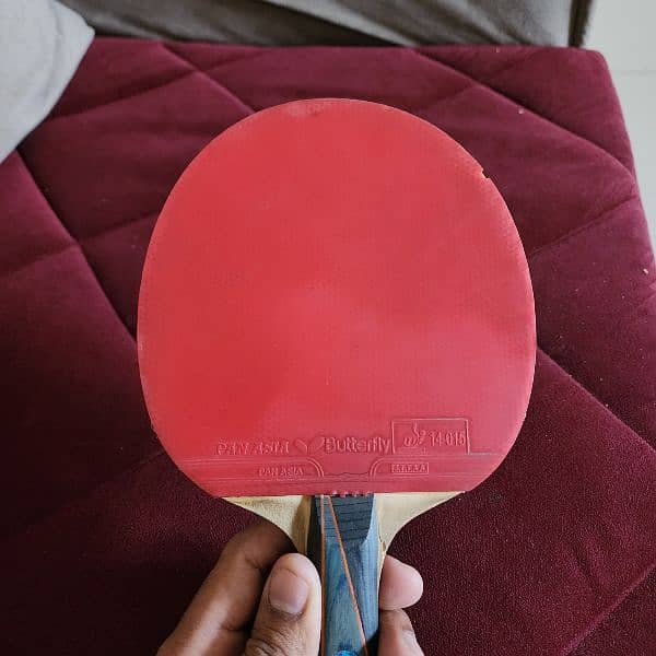 Table tennis original Timo Boll Racket 3