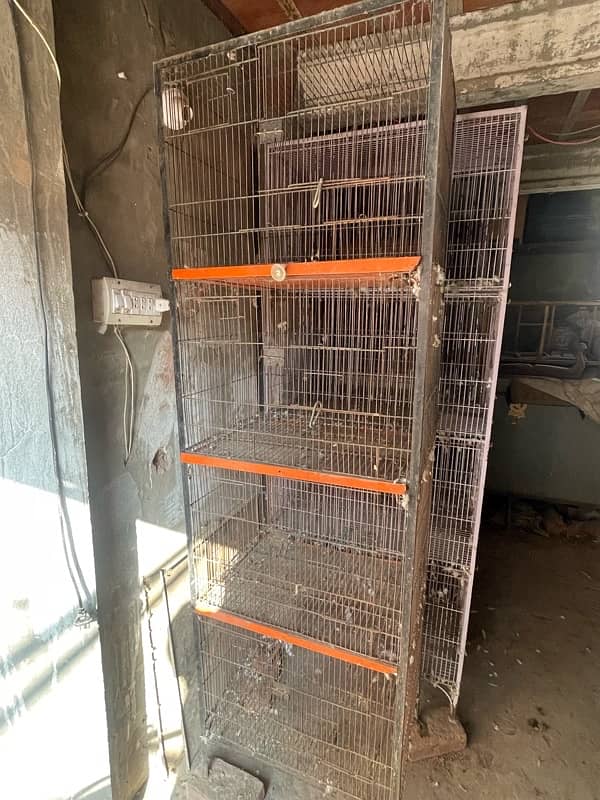 cage for sale 4