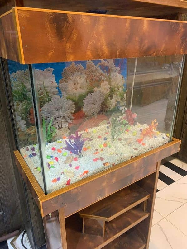 Aquarium Brand New Big Size 0