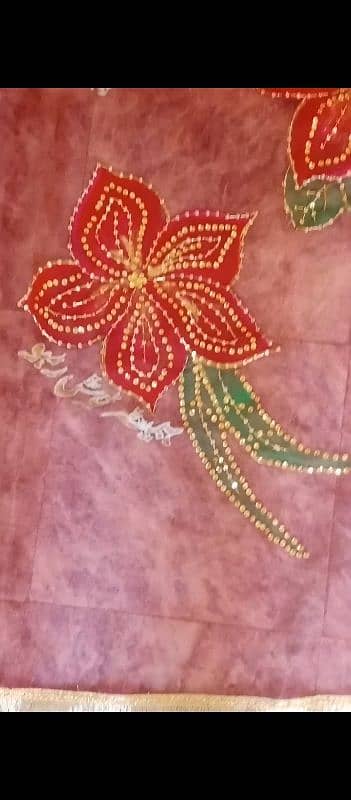 Dupata gali  (Hand painted 03224964486) 16