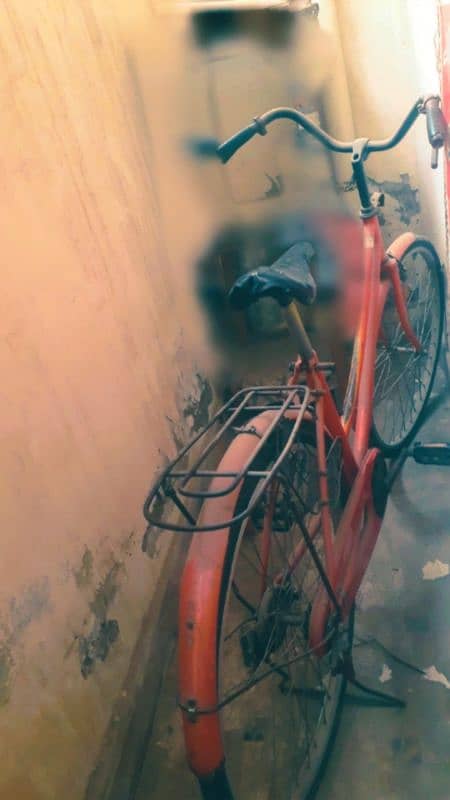 cycle wala 4