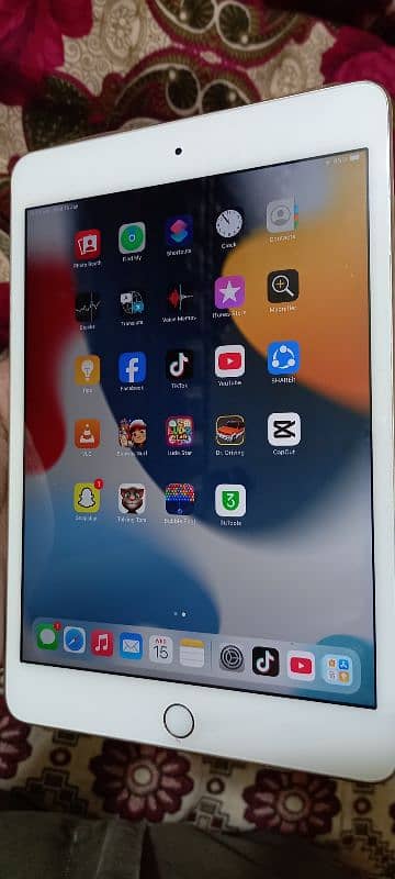 Ipad mini 4 0