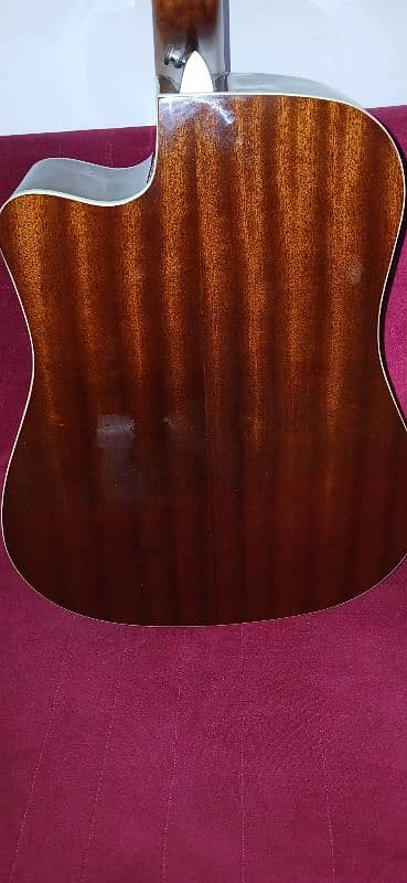 Ibanez Acoustic Guitar (Rs. 40000) 0