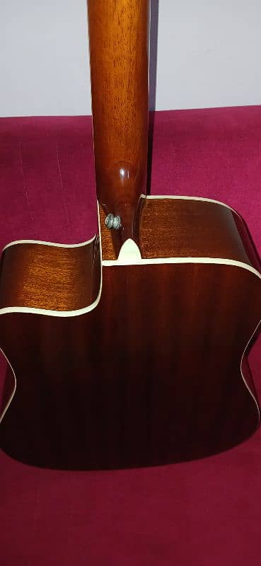 Ibanez Acoustic Guitar (Rs. 40000) 1